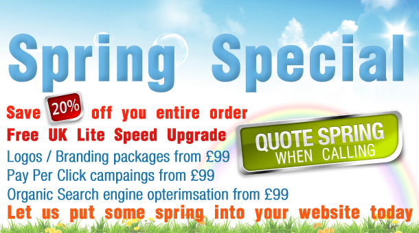 New Yea Special Offer